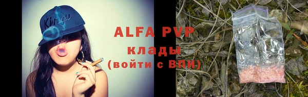 индика Богданович