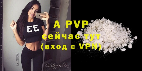 индика Богданович