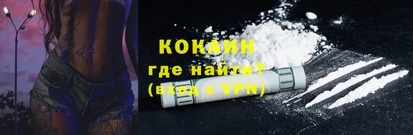 индика Богданович