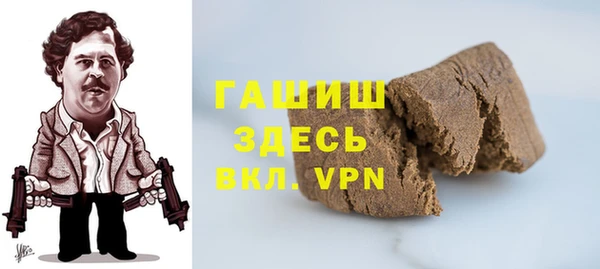 индика Богданович