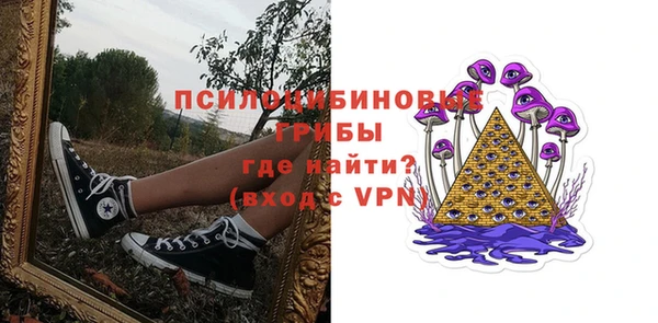 индика Богданович