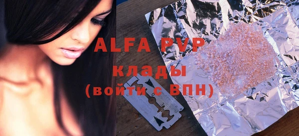 индика Богданович