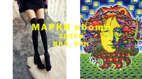 индика Богданович