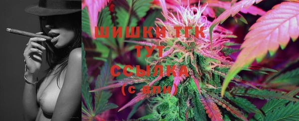 индика Богданович