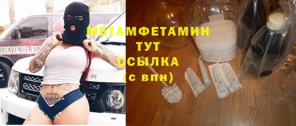индика Богданович