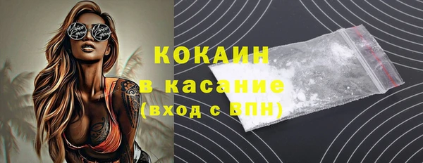 индика Богданович