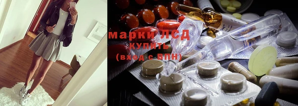 spice Богородск
