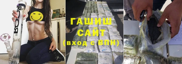 индика Богданович