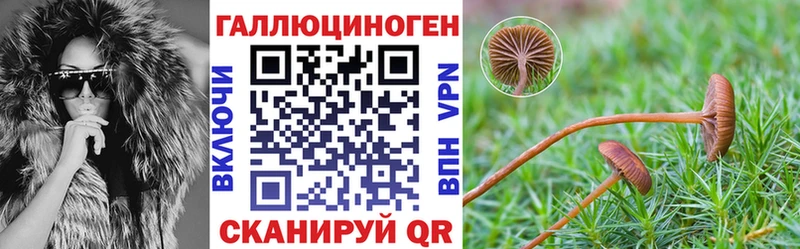 где купить наркоту  Сочи  Галлюциногенные грибы прущие грибы 